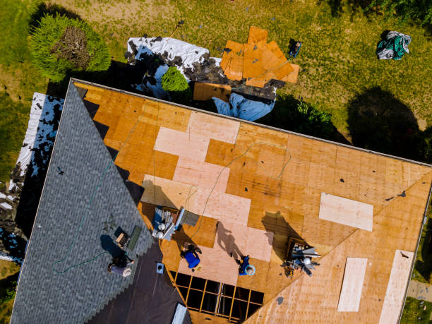 Best Storm Damage Roof Repair  in Plain City, OH