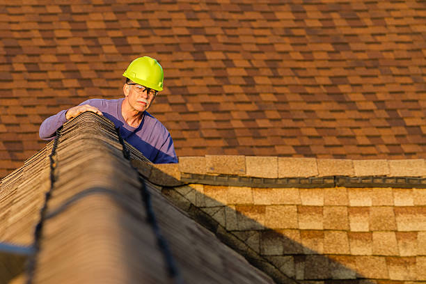 Best Roof Waterproofing Services  in Plain City, OH