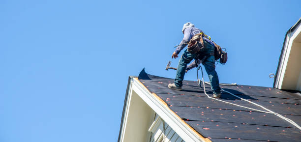 Roof Gutter Cleaning in Plain City, OH
